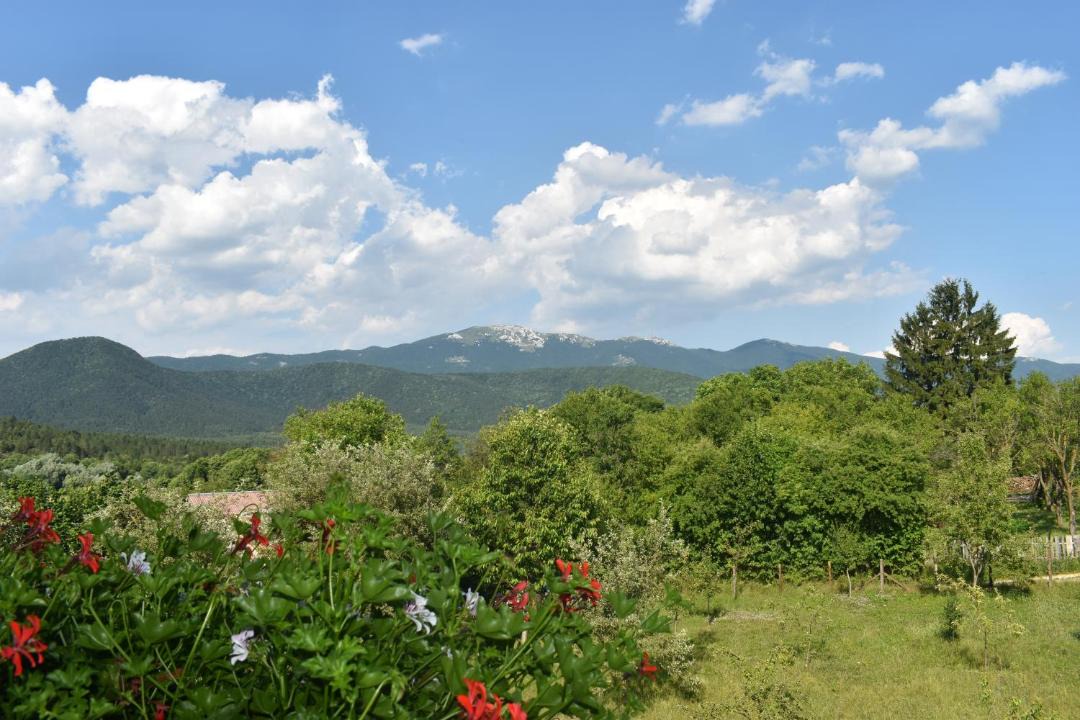 Photo of Outdoor in Vrelo Korenicko