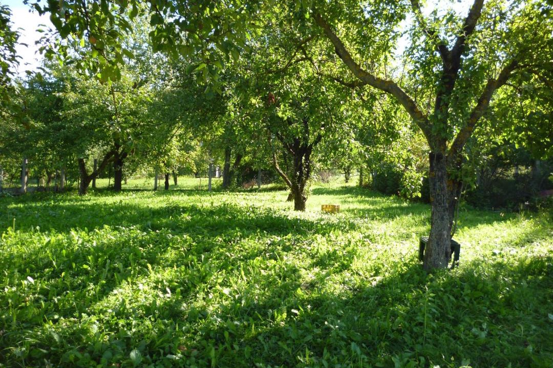 Photo of Outdoor in Ivanec Bistranski
