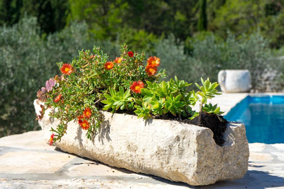 Photo of Others in Korcula