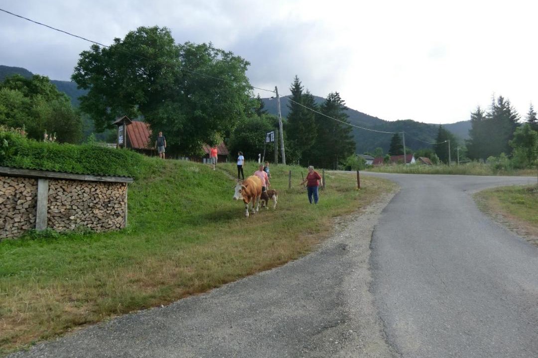 Photo of Others in Vrelo Korenicko