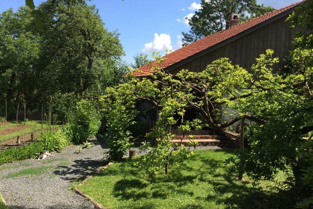 Photo of Others in Gornja Stubica