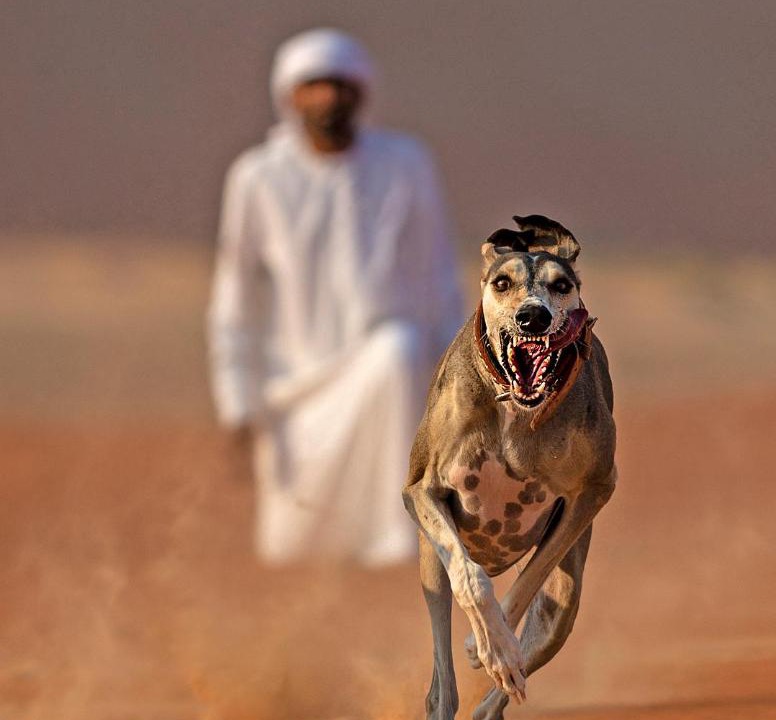 Photo of Others in Mahdar Bin Usayyan
