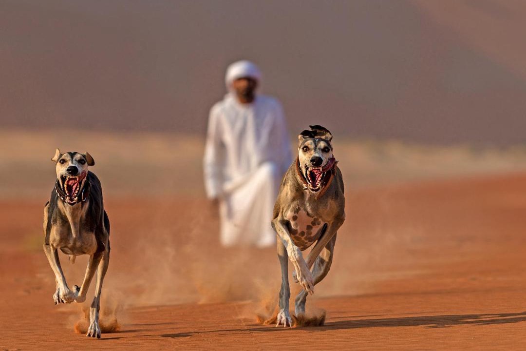 Photo of Others in Mahdar Bin Usayyan