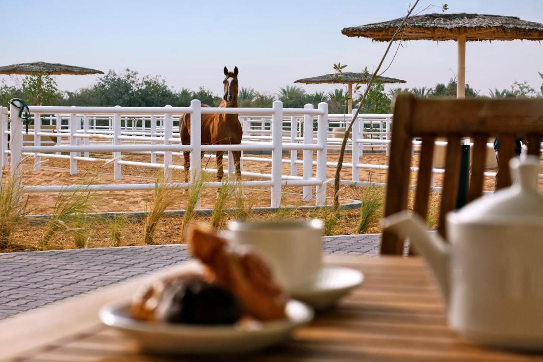 Photo of Others in Sir Bani Yas Island