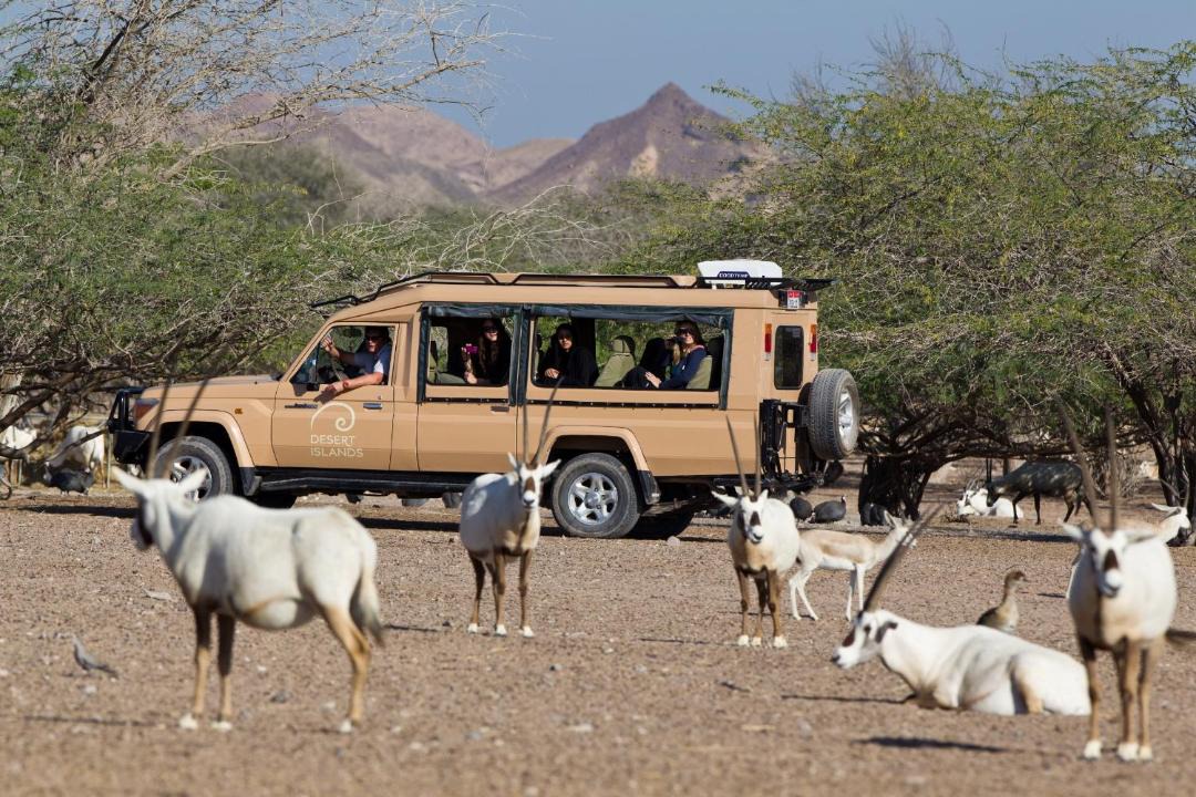 Photo of Others in Sir Bani Yas Island