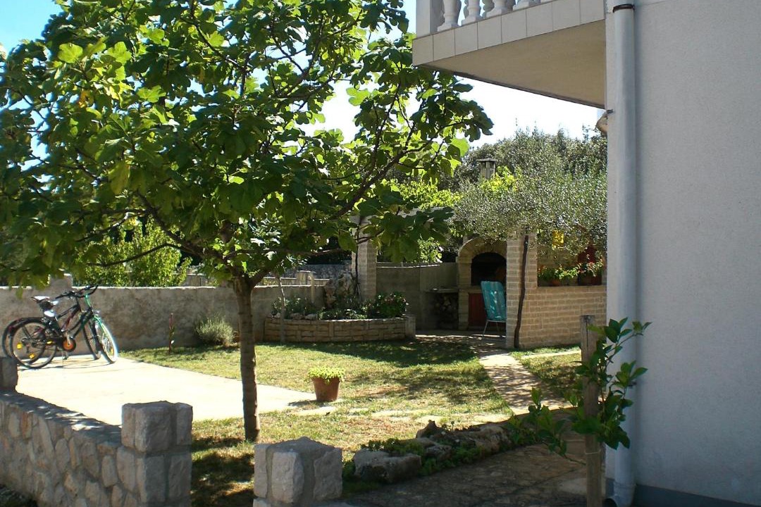 Photo of Others in Batalaza