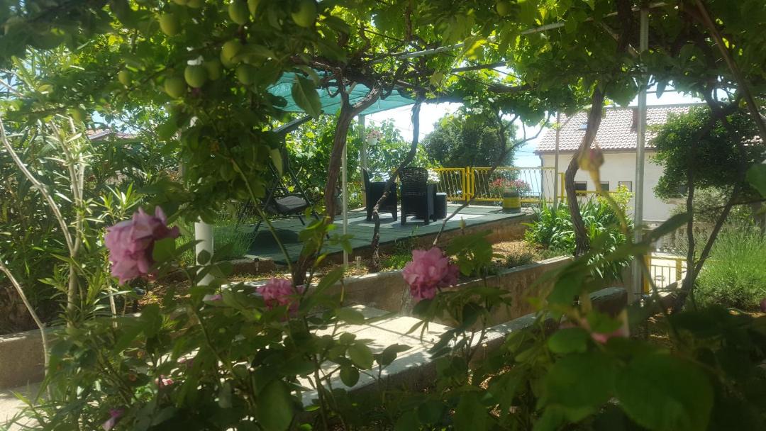 Photo of Others in Stara Baska