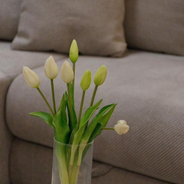 Photo of Livingroom in Velika Gorica