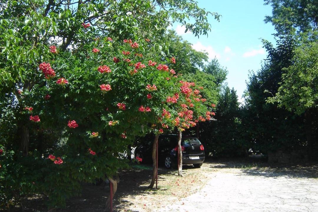 Photo of Outdoor in Pula