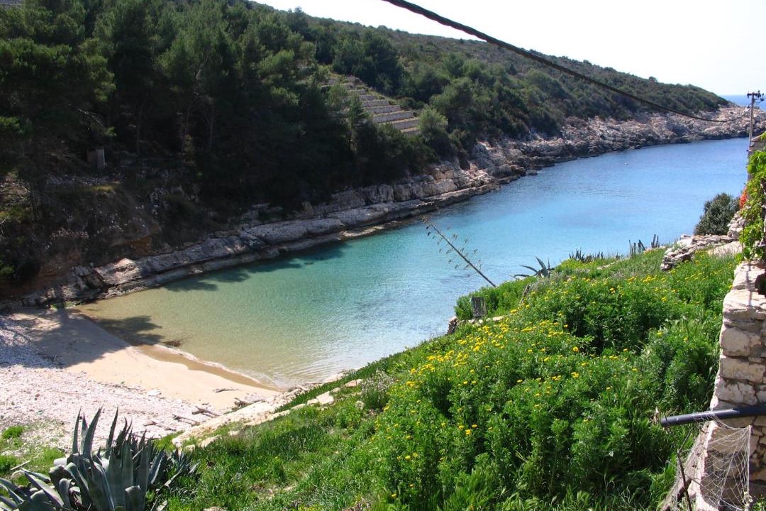 Photo of Others in Bisevo