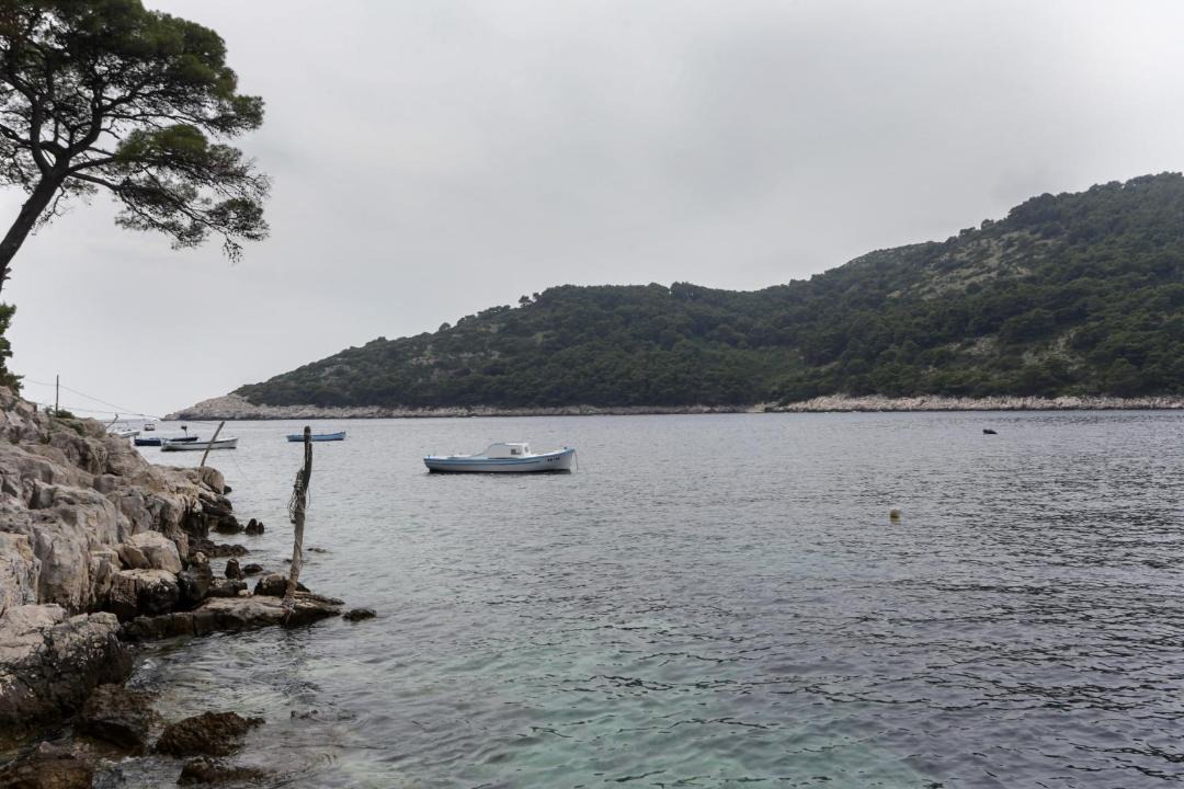Photo of Others in Saplunara