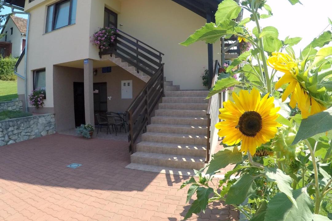 Photo of Others in Slunj