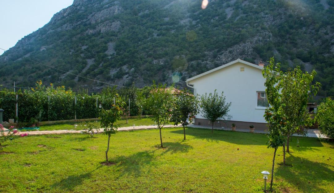Photo of Others in Mostar