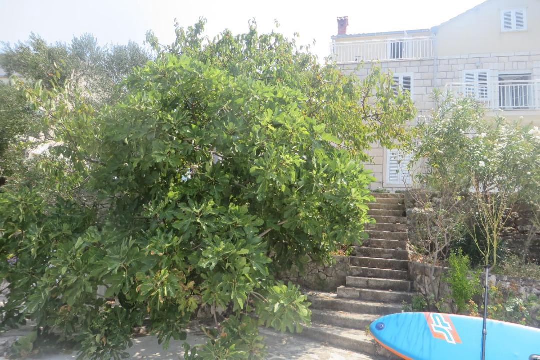 Photo of Others in Kneza