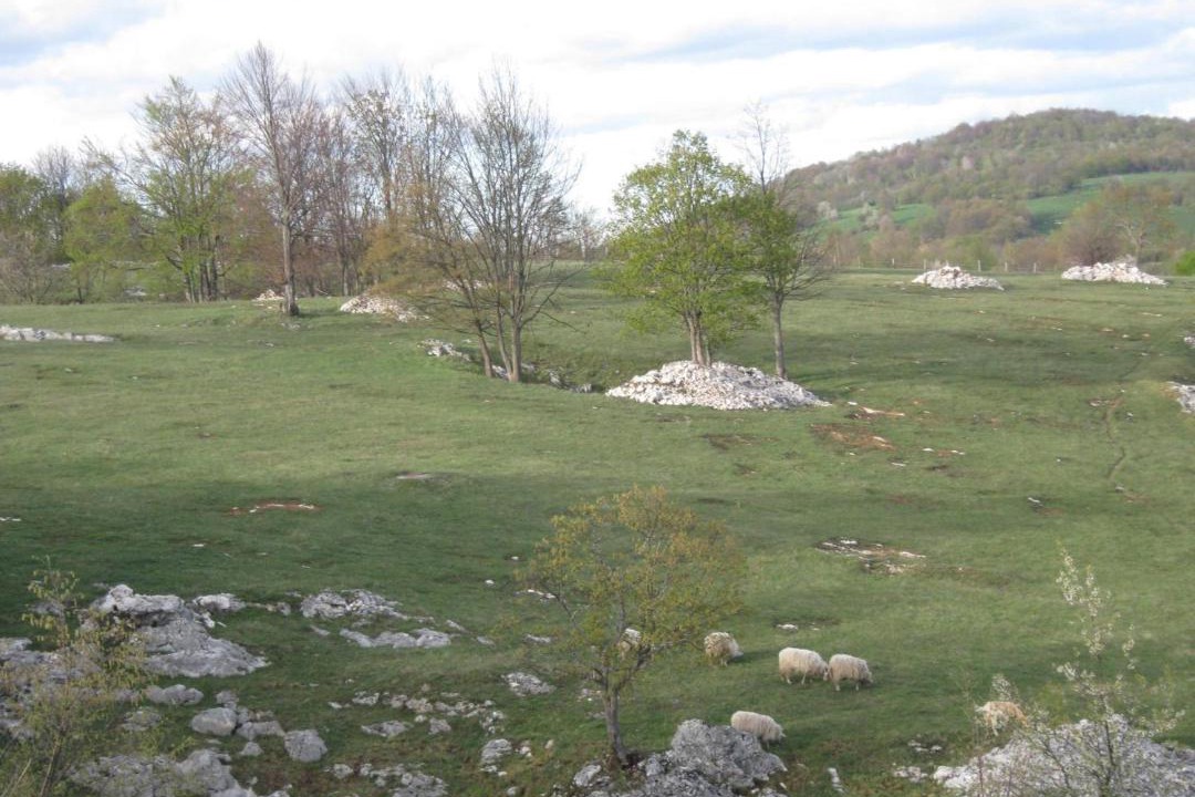 Photo of Others in Korana