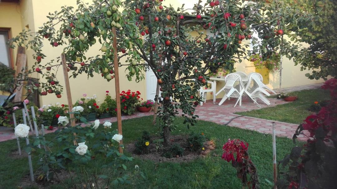 Photo of Others in Dakovo