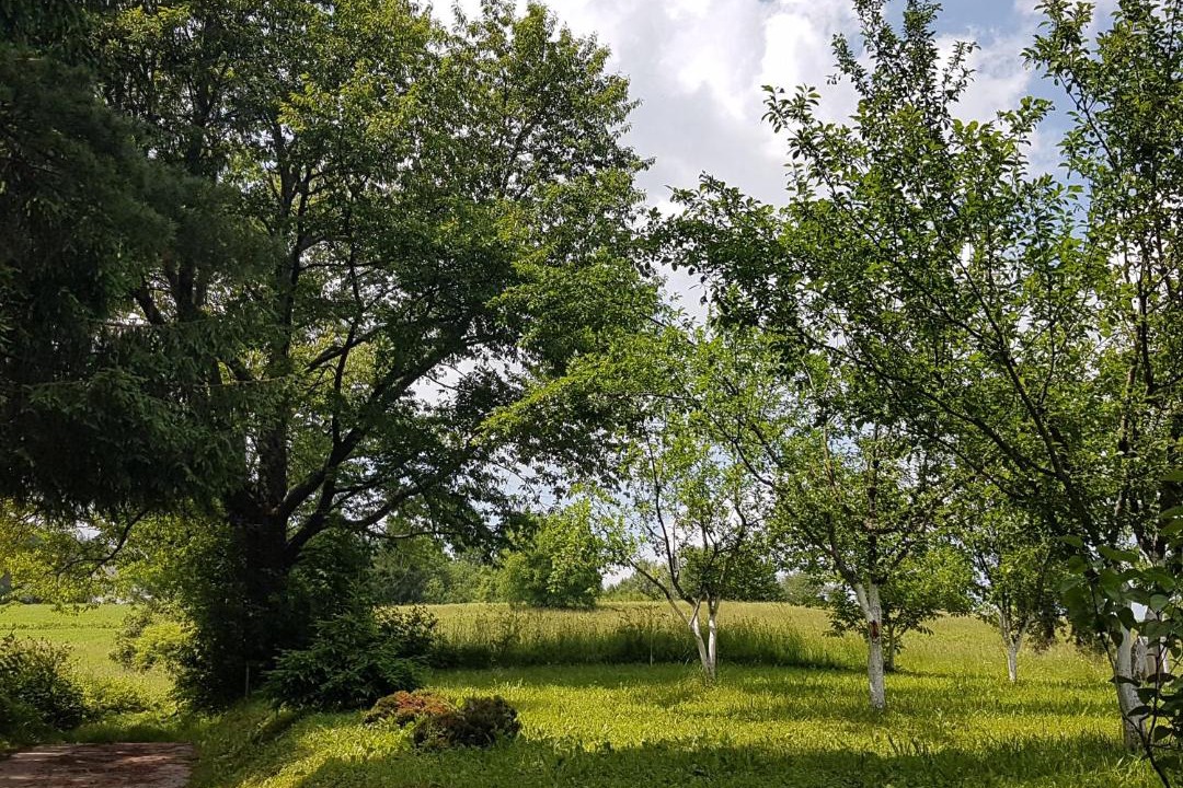 Photo of Outdoor in Rakovica