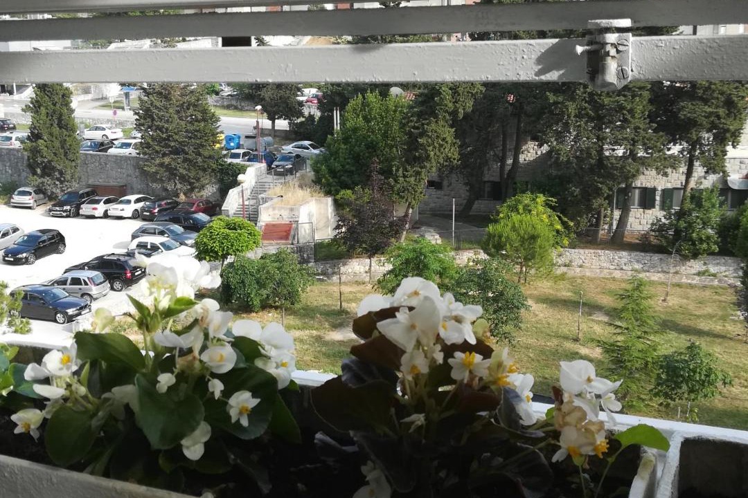 Photo of Others in Znjan
