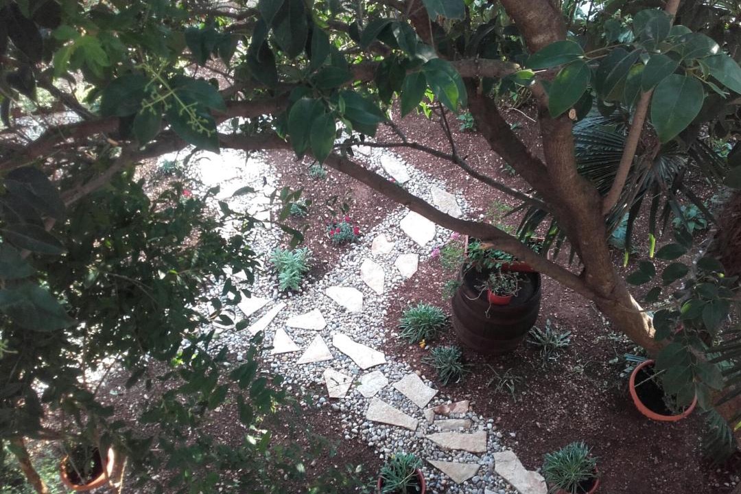 Photo of Others in Sibenik