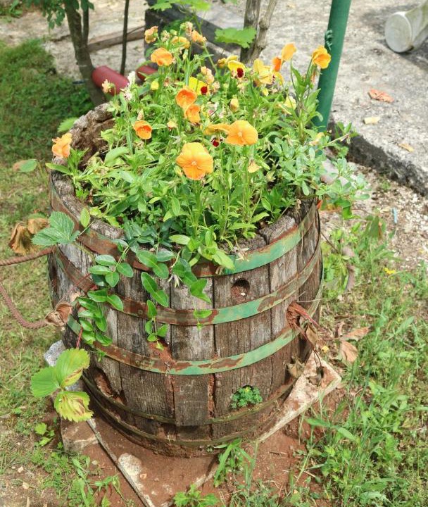 Photo of Outdoor in Murine