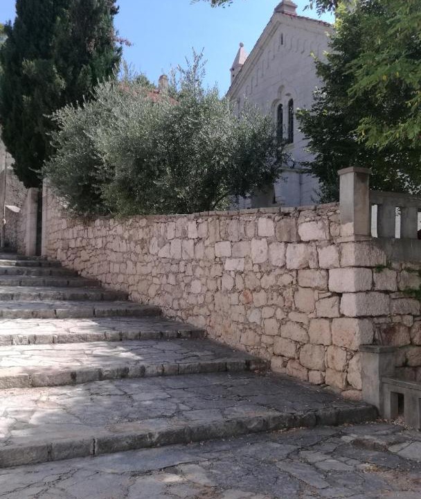 Photo of Others in Novigrad