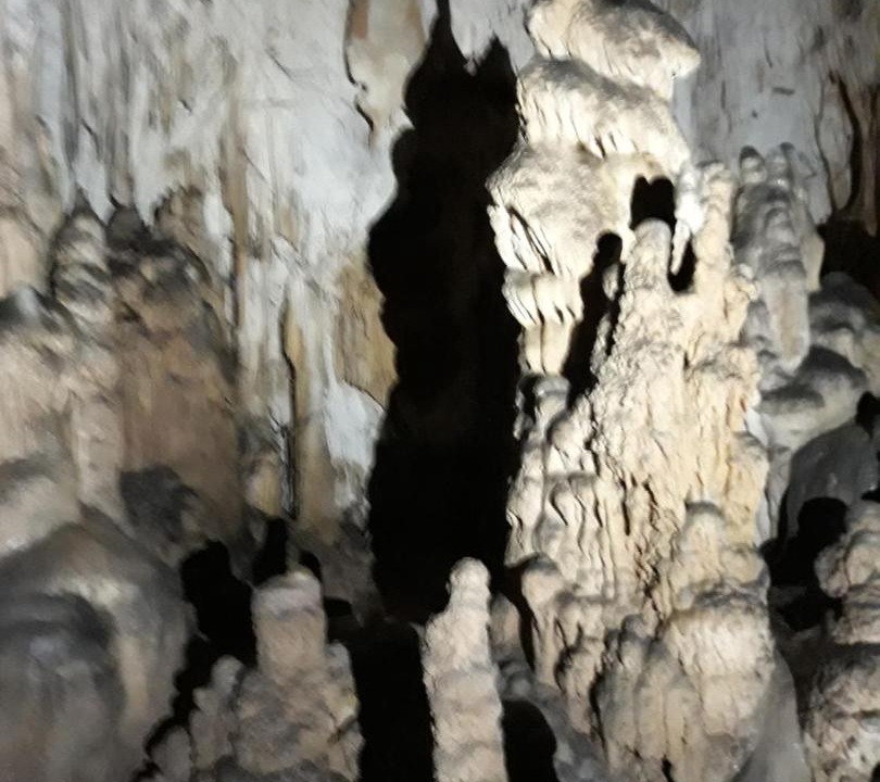 Photo of Others in Vartop