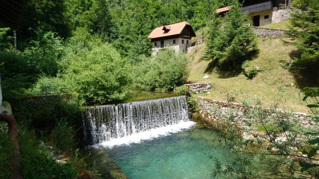 Photo of Others in Zamost