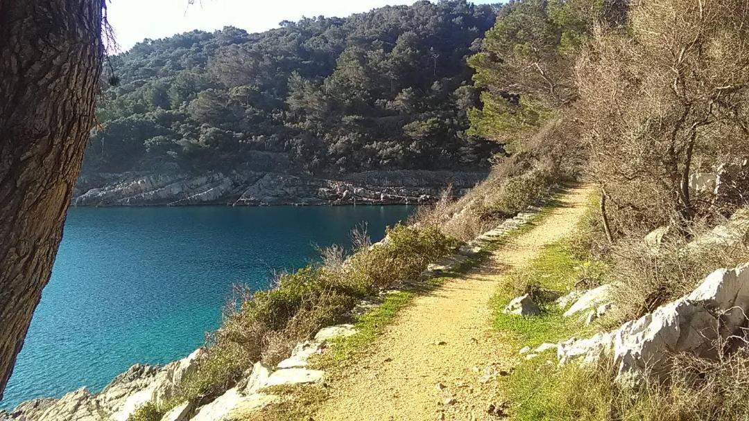 Photo of Others in Veli Losinj