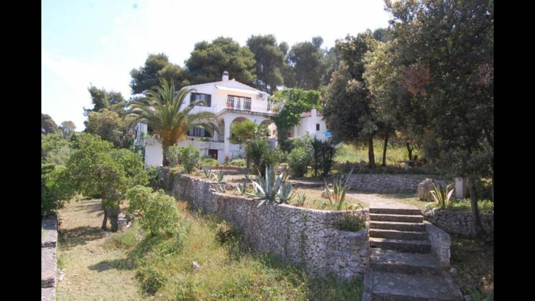 Photo of Others in Maslinica