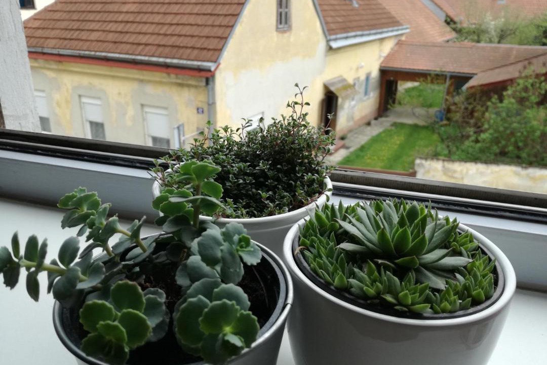 Photo of Others in Varazdin