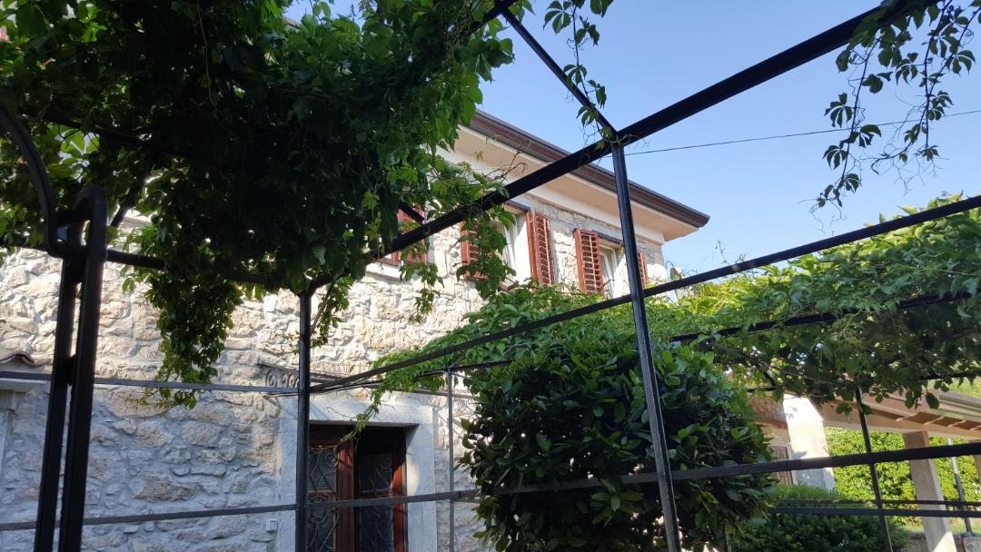 Photo of Others in Zurkovo