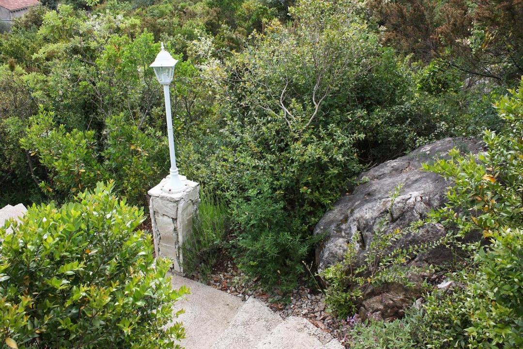 Photo of Others in Prozurska Luka