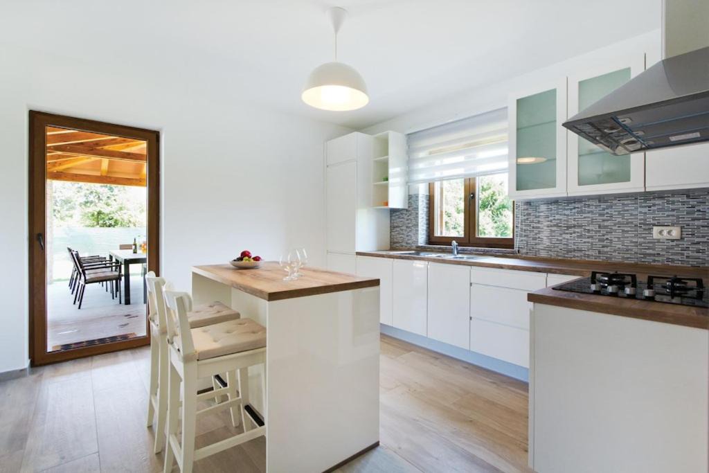 Photo of Kitchen in Nedescina