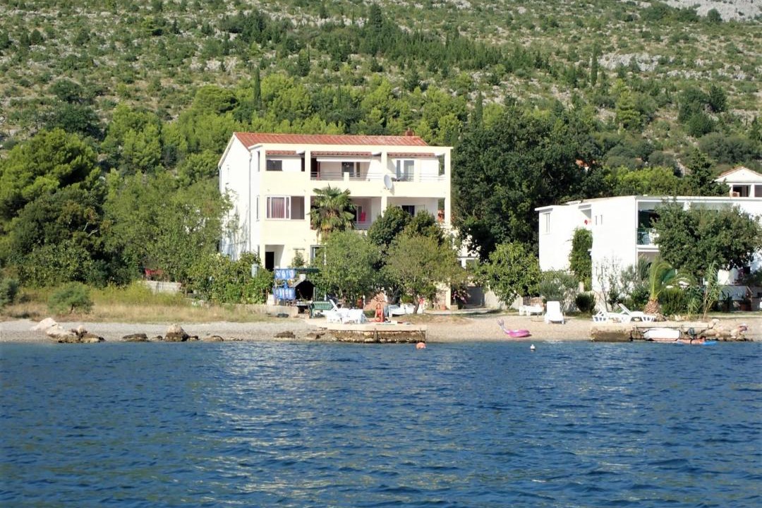 Photo of Others in Seline