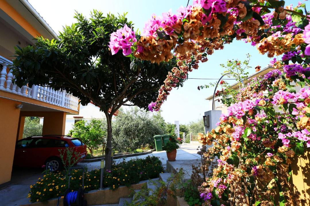 Photo of Others in Sutomiscica