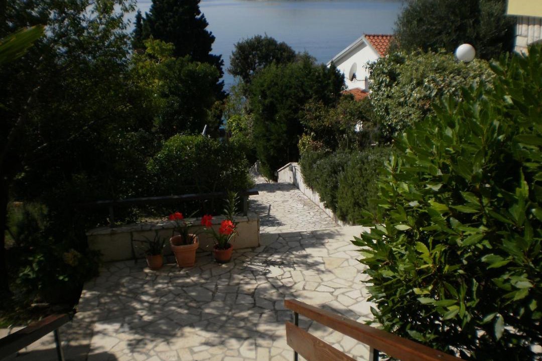 Photo of Others in Martinscica