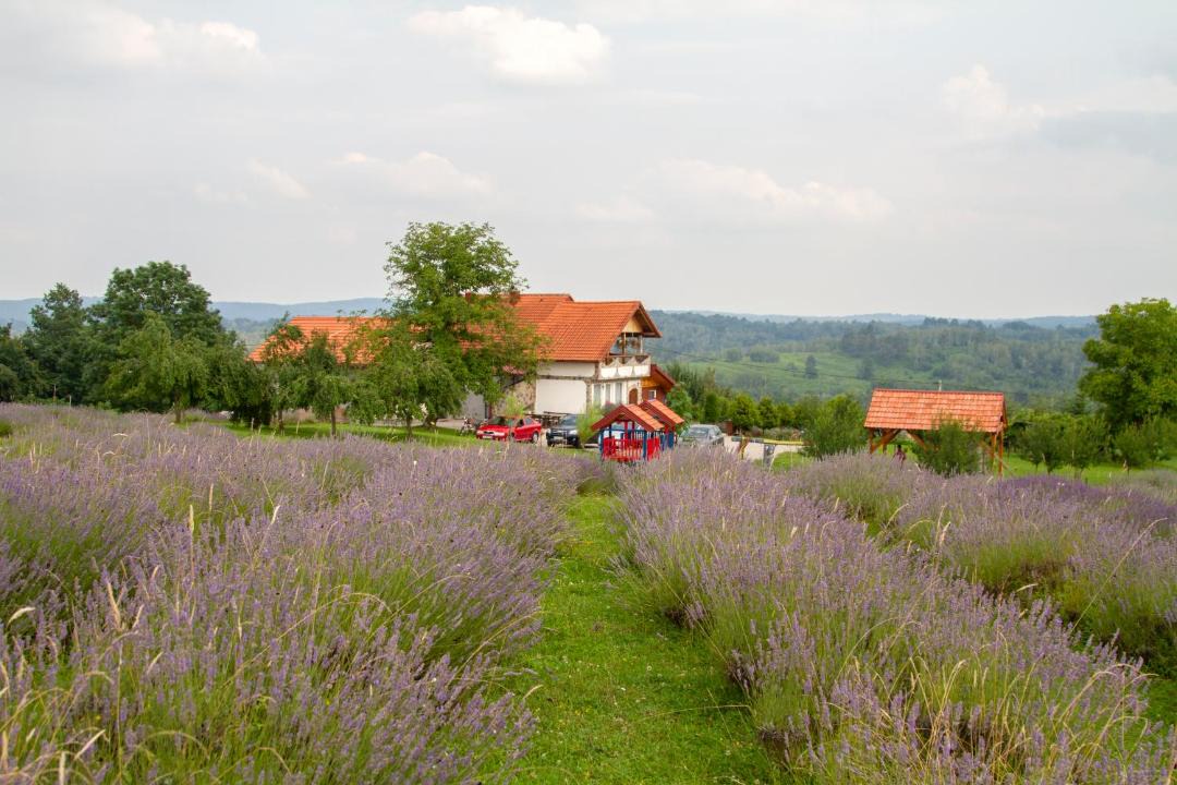 Photo of Others in Rakovica