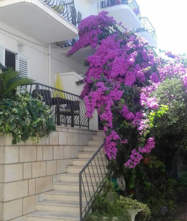 Photo of Others in Cavtat
