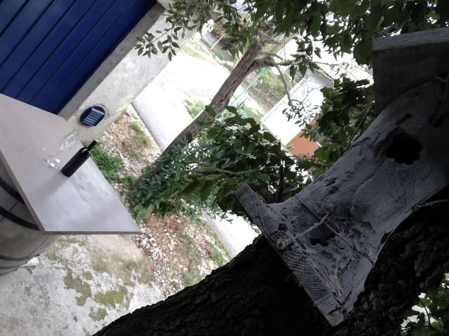 Photo of Others in Koromacno