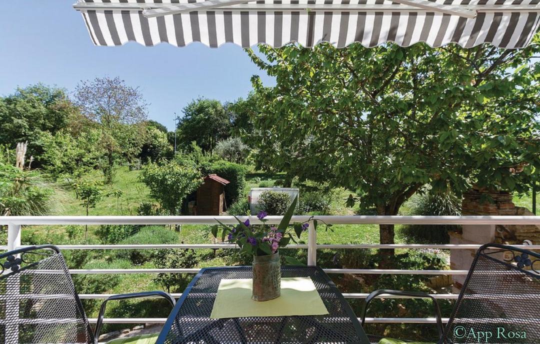 Photo of Others in Rovinj