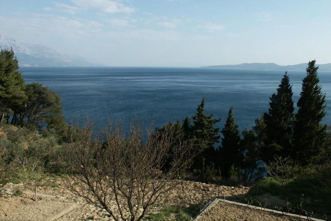 Photo of Others in Marusici