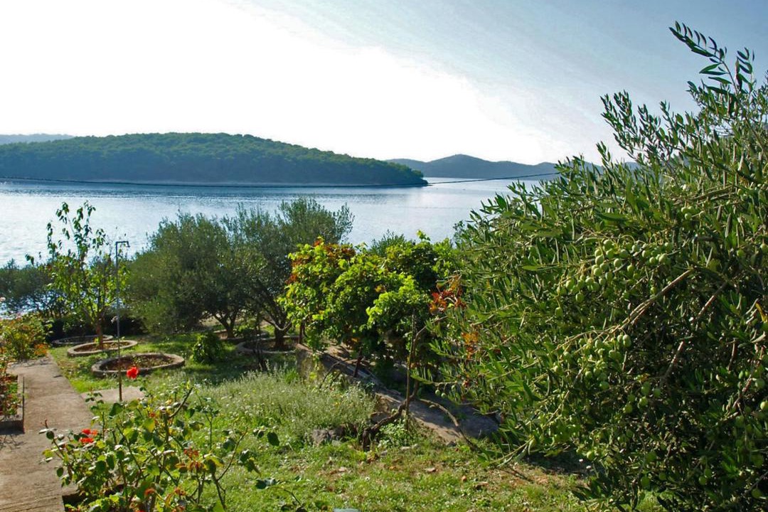 Photo of Outdoor in Molat