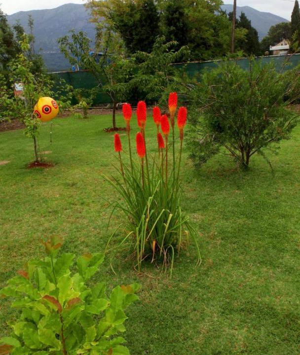 Photo of Outdoor in Gruda