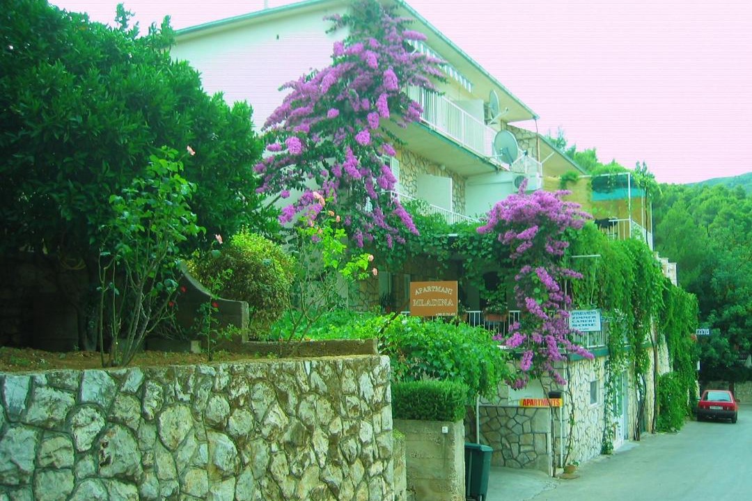 Photo of Others in Island Hvar