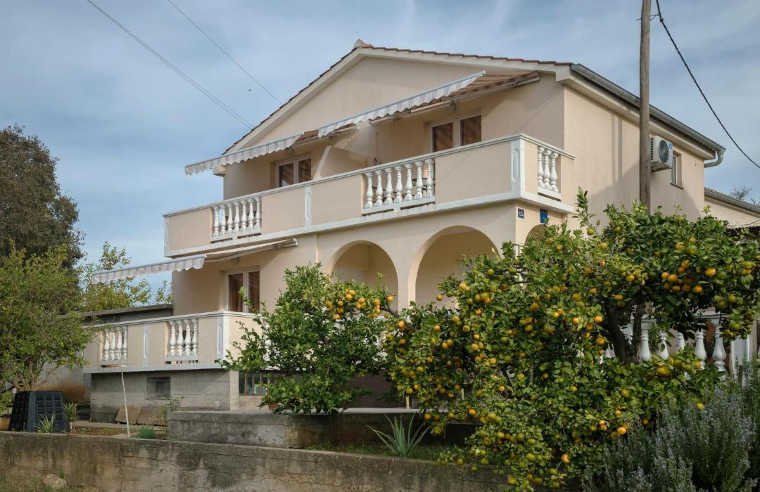 Photo of Others in Luka