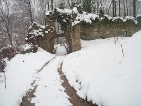 Photo of Others in Podgaric