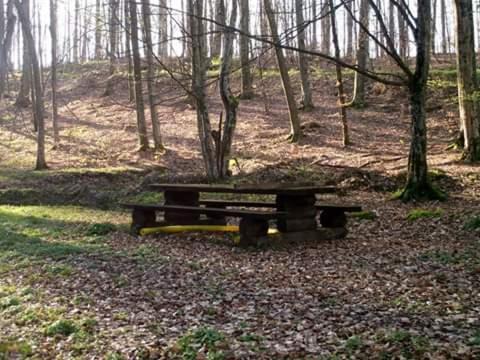 Photo of Others in Podgaric