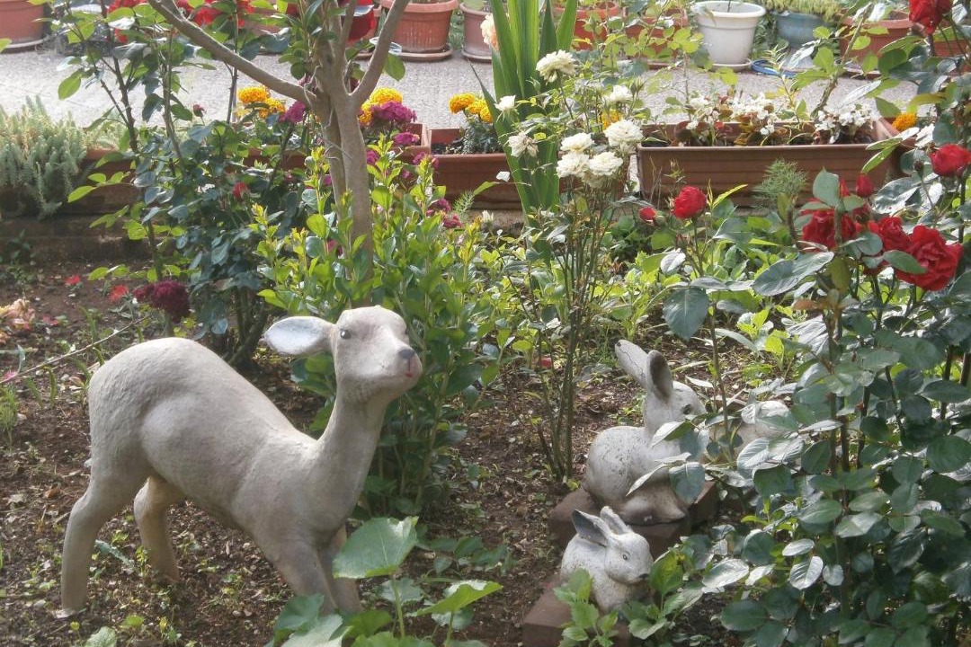 Photo of Others in Medjugorje