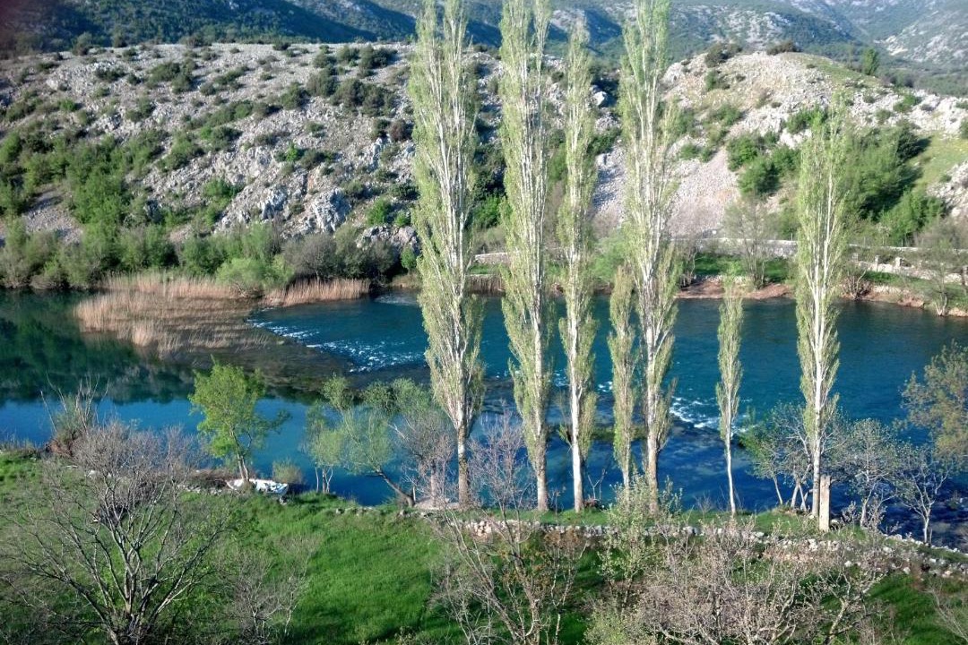 Photo of Outdoor in Obrovac