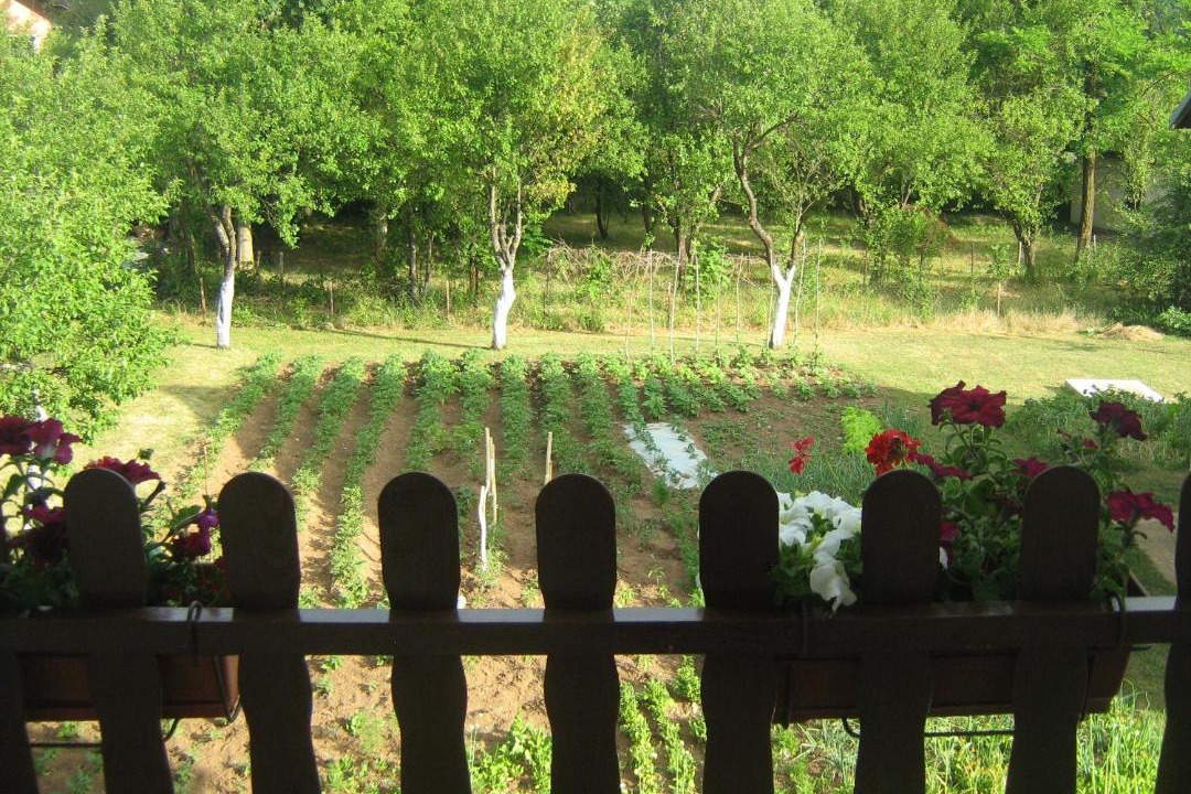 Photo of Others in Rudanovac